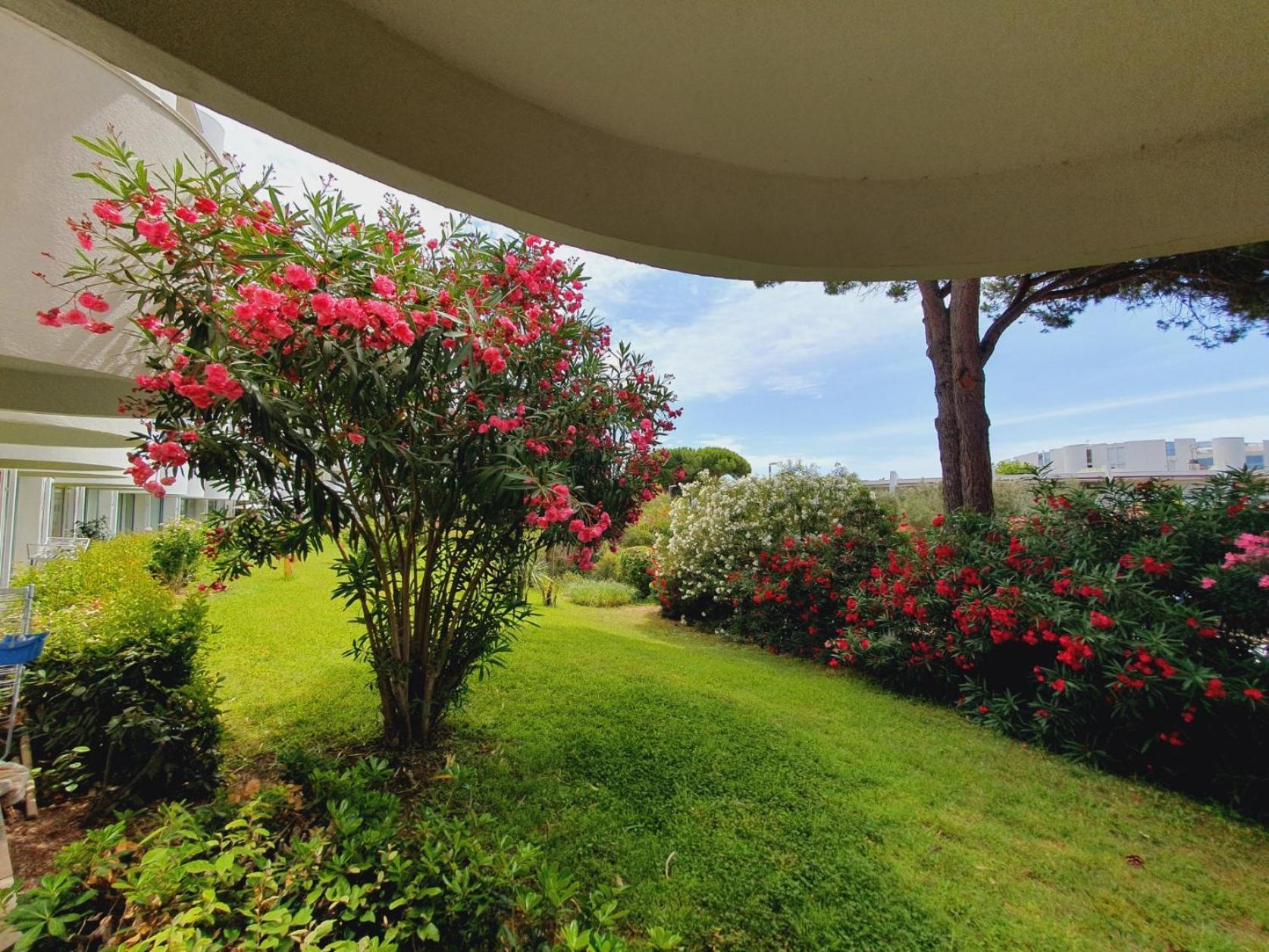 T2 Traversant Familial Cap Sud Parking Plages - Rossiconciergerie - Linge En Option ลา กร็องเดอ-ม็อต ภายนอก รูปภาพ